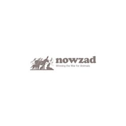 Nowzad