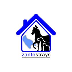 Zante Strays