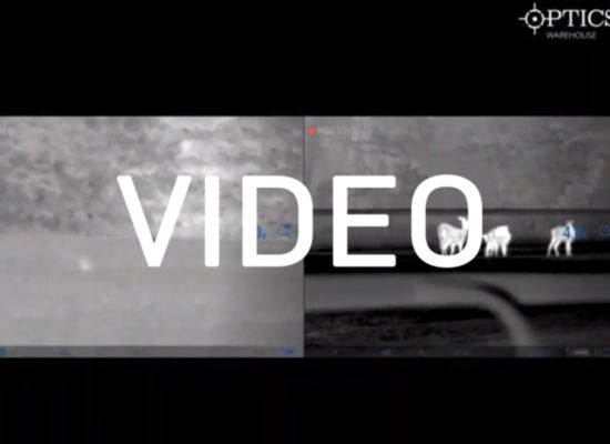 Pulsar Thermion XP50 In-The-Field Footage